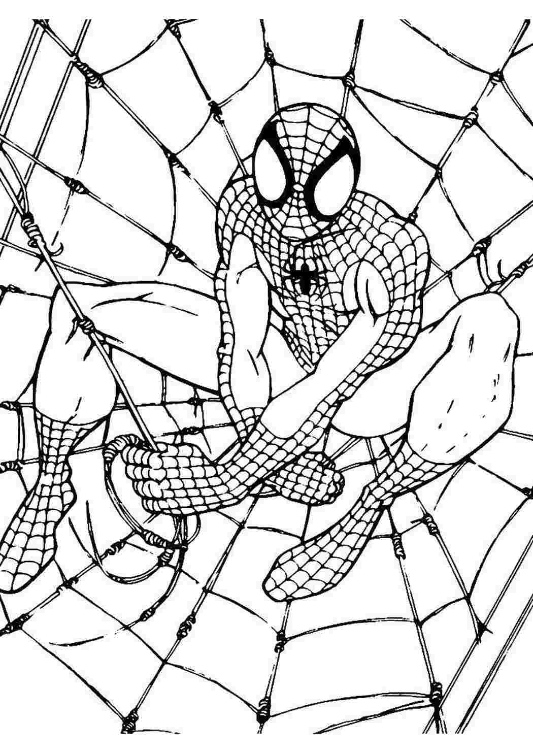 Раскраски Человек паук спасает людей человек паук человек паук, супергерои