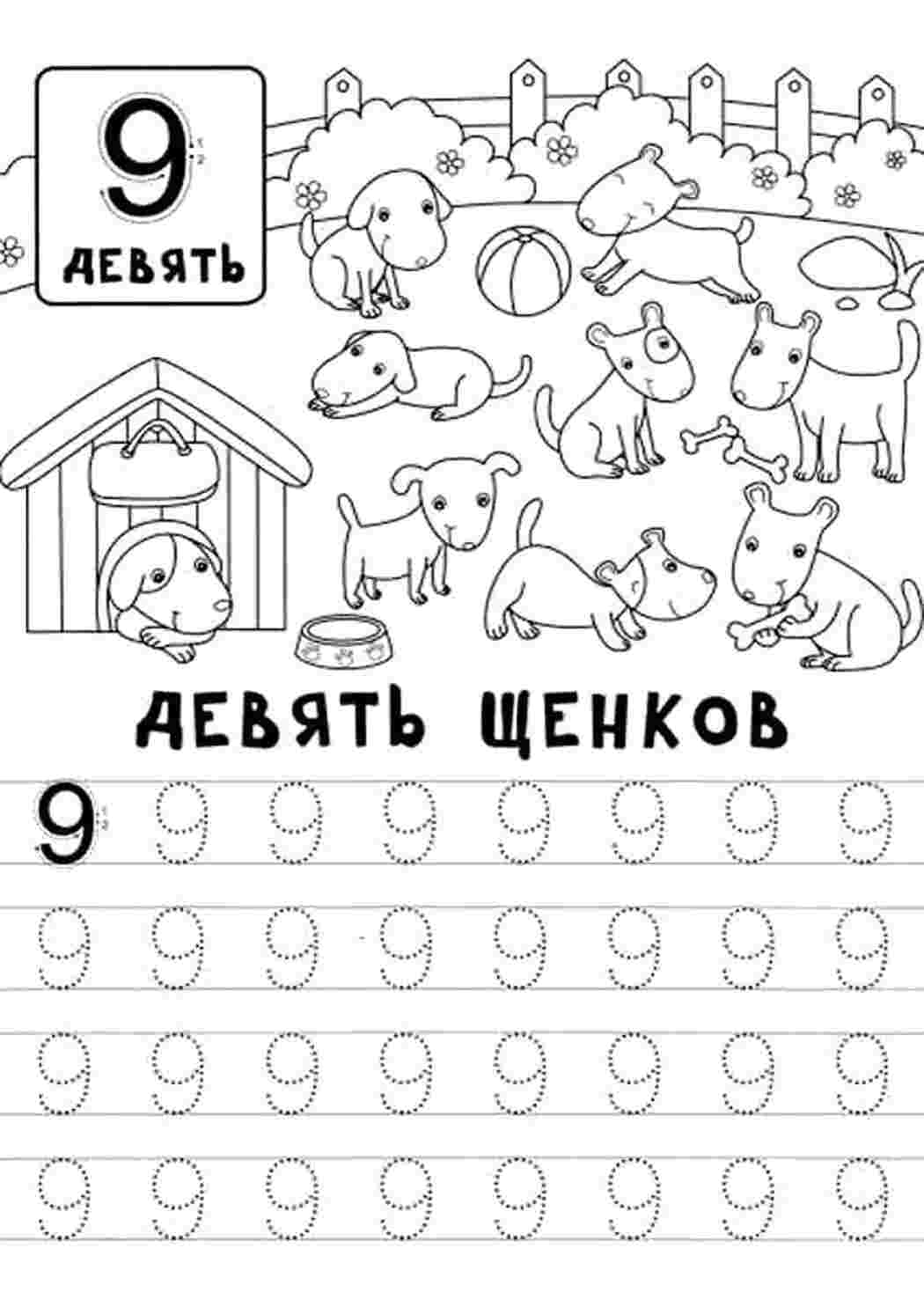 Раскраски Раскраски прописи цифры для детей ... Сивка Бурка Раскраска Прописи цифры Прописи цифры