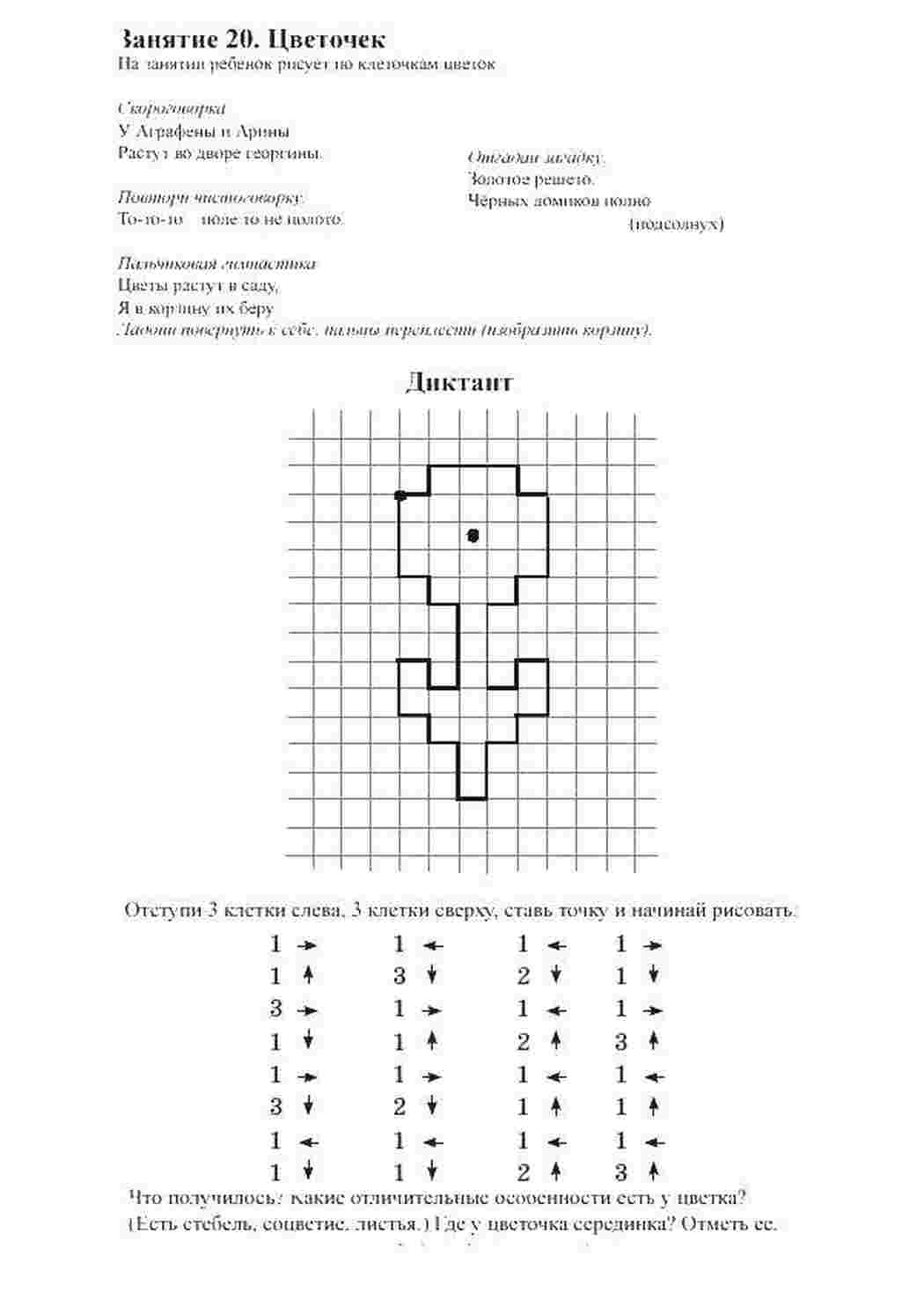графический диктант цветы, загадка