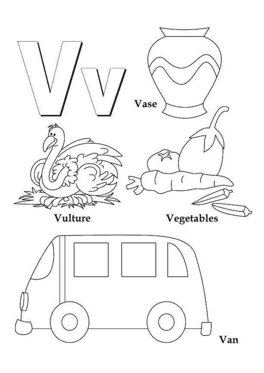 Английский алфавит v, буквы, слова