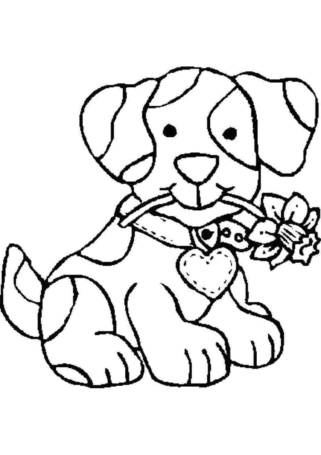 Раскраски Собачка с цветком домашние животные собака, цветок, ошейник