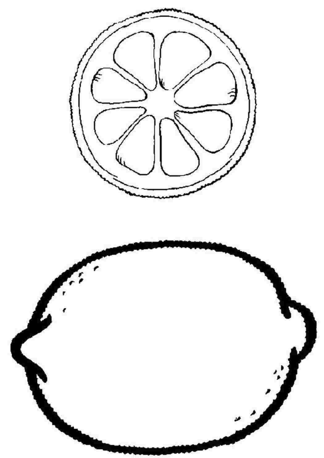 Скачать или распечатать раскраску распечатать скачать, лимон целый в разрезе  Раскраски скачать онлайн