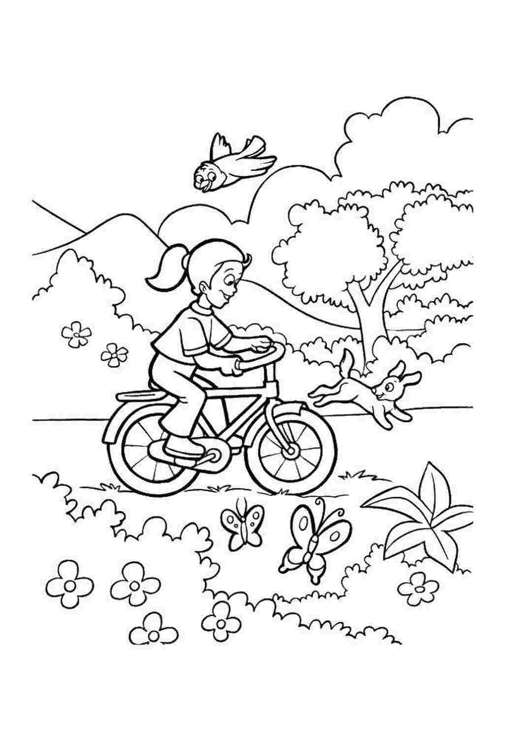 Раскраски Девочка катается в лесу на велосипеде раскраски девочка, велосипед