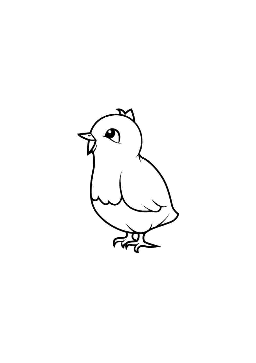 Птицы для срисовки (70 картинок)