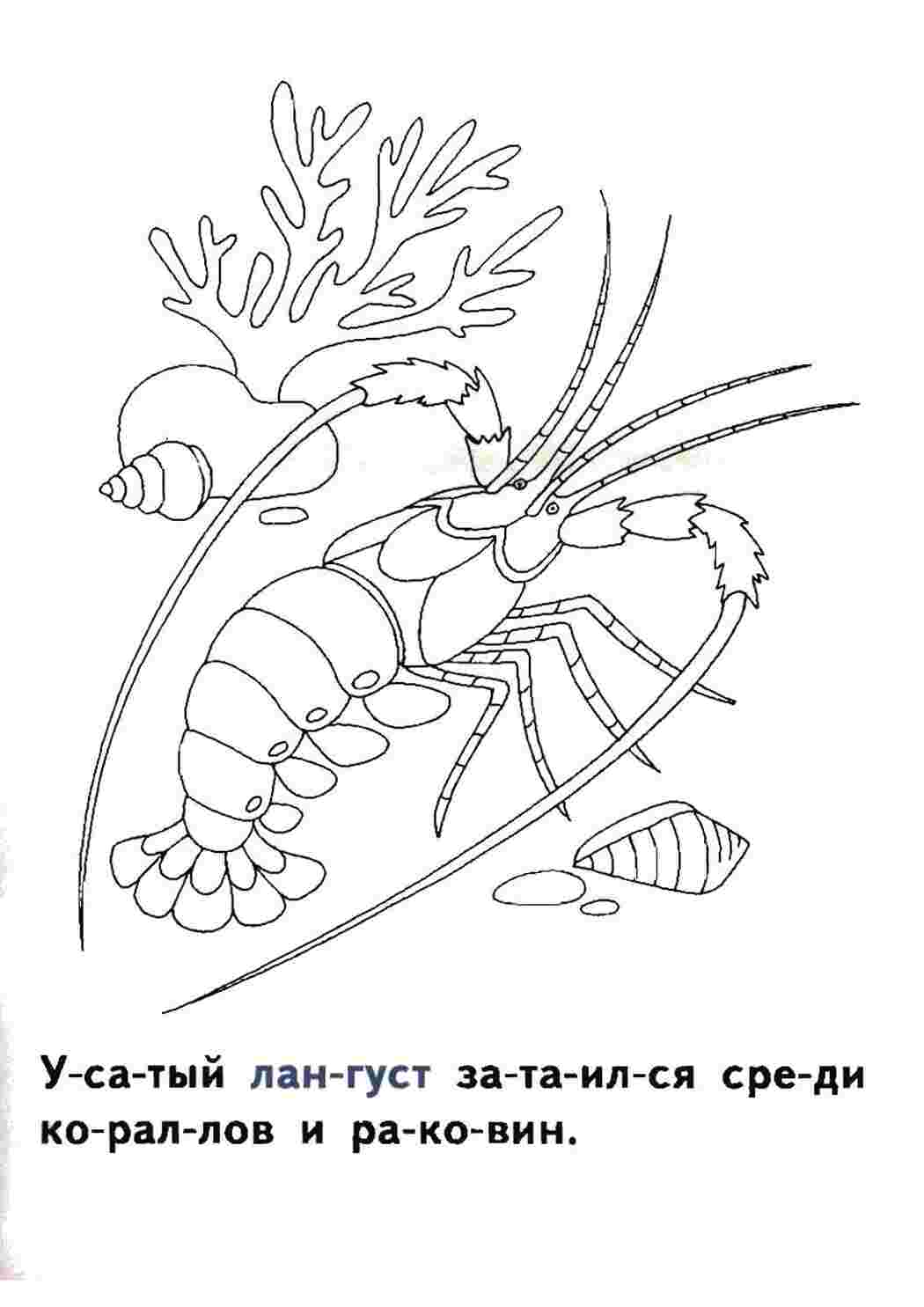 развивающие развивающие