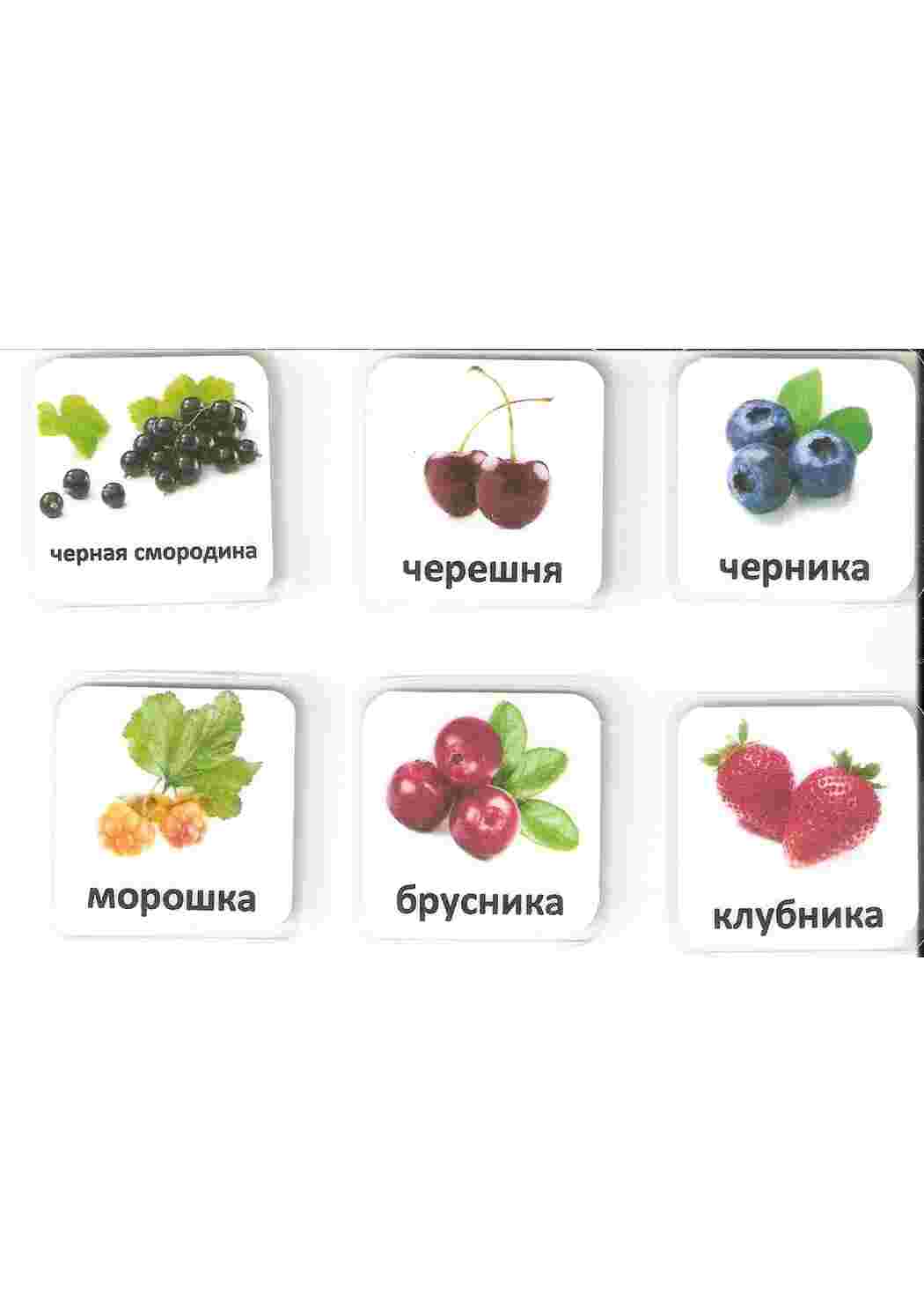 Раскраски карточки ягода малина клюква еживика  карточки ягода малина клюква еживика