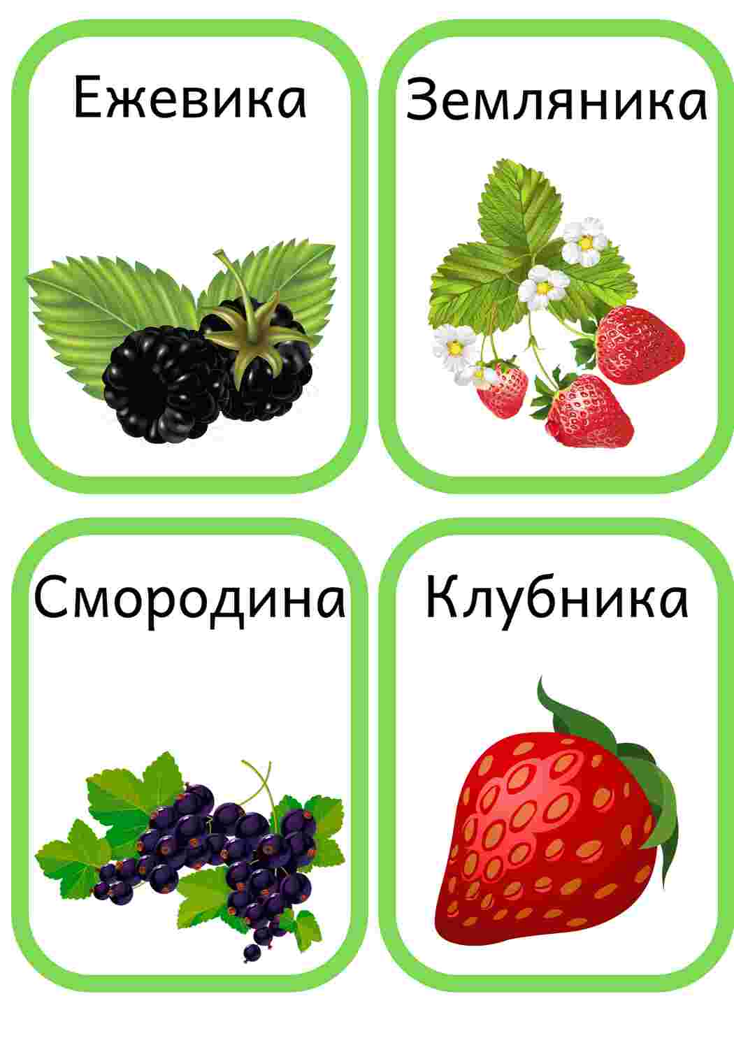 Раскраски, Карточки с ягодами и фруктами для раннего развития. Уроки  природоведения для дошкольников, пособия для изучения природы с малышами.,  Раскраски математические раскраски для дошкольников математические  раскраски для дошкольников, обучающие ...