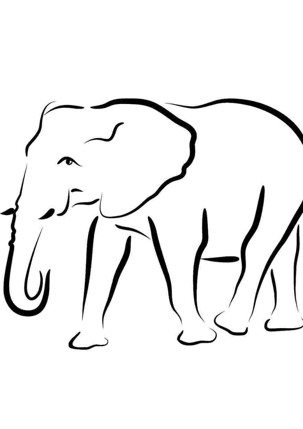 Раскраски Слон Контуры животных слон