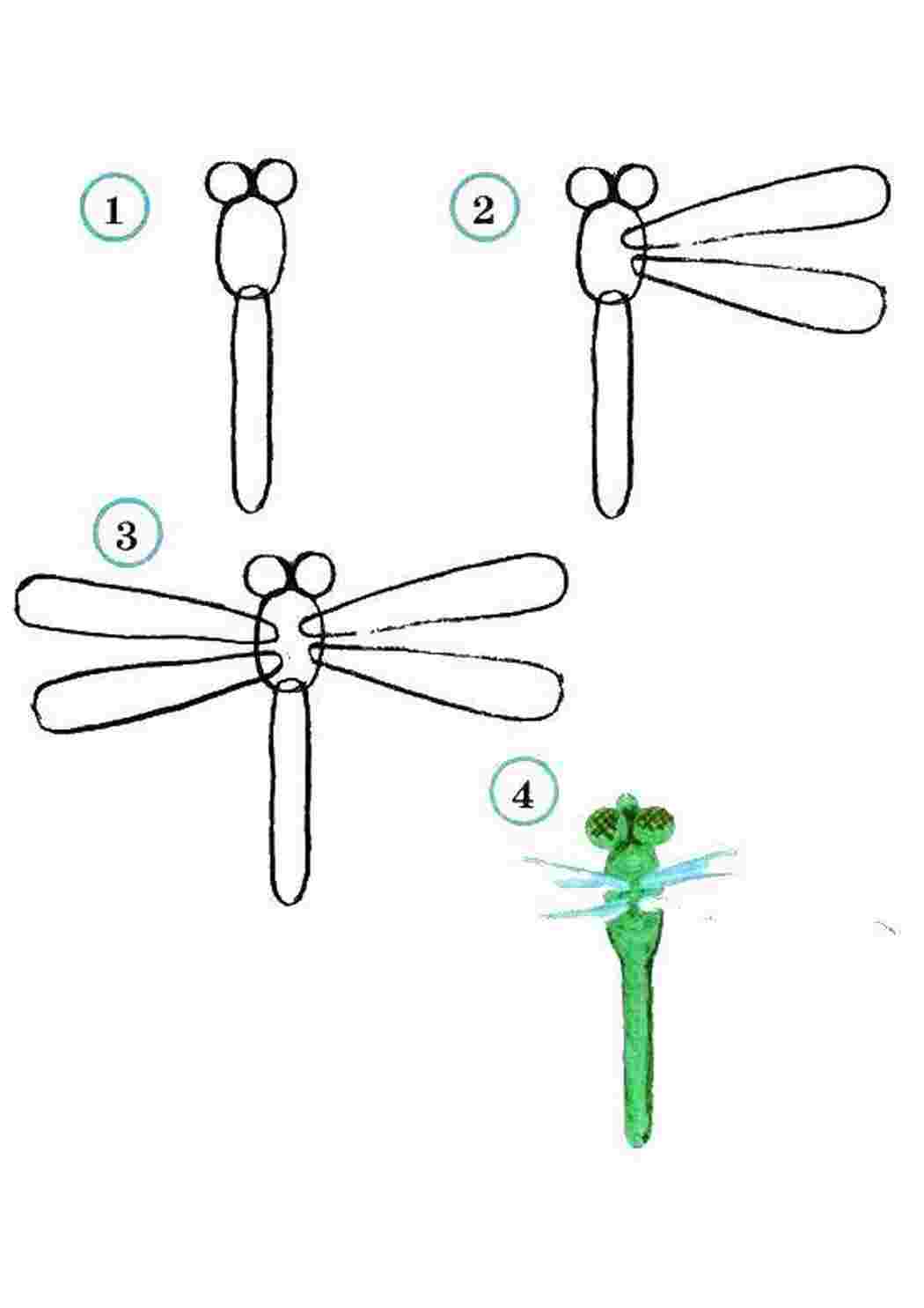 Насекомые рисуем, учимся, стрекоза