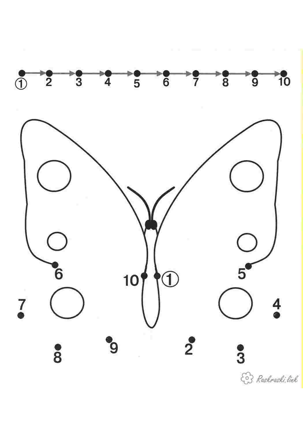 Раскраска по цифрам «Бабочки» — купить в городе Воронеж, цена, фото — КанцОптТорг