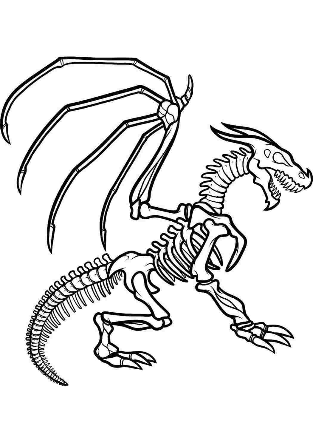 Скелет дракона Раскраски для мальчиков бесплатно