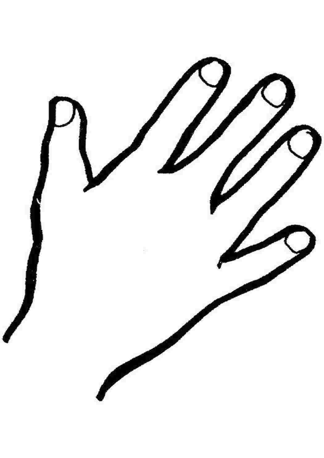 Раскраски Рука рука пальцы, ногти, рука