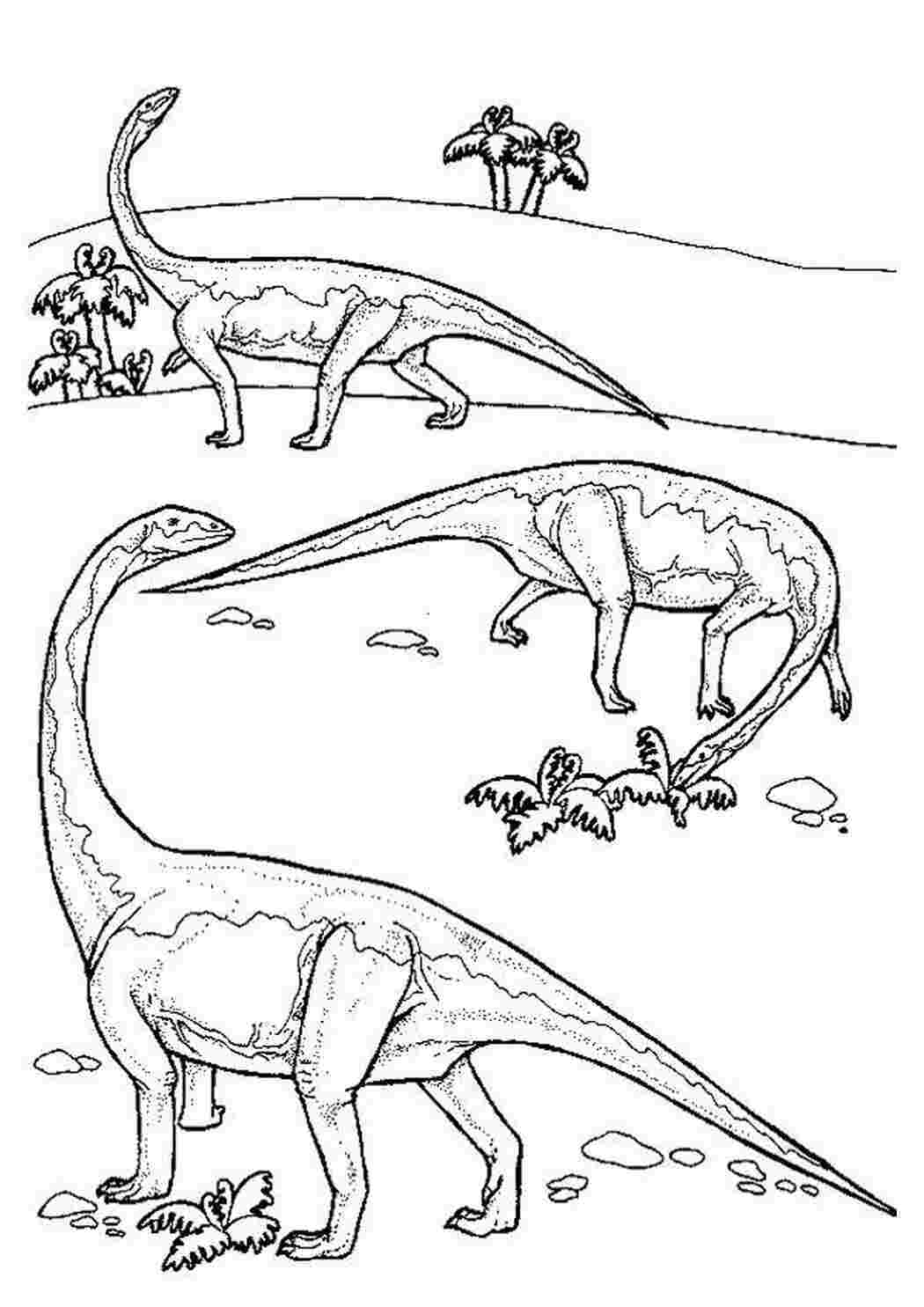 Раскраски Диплодок – растительноядный динозавр динозавр Диплодок, динозавры