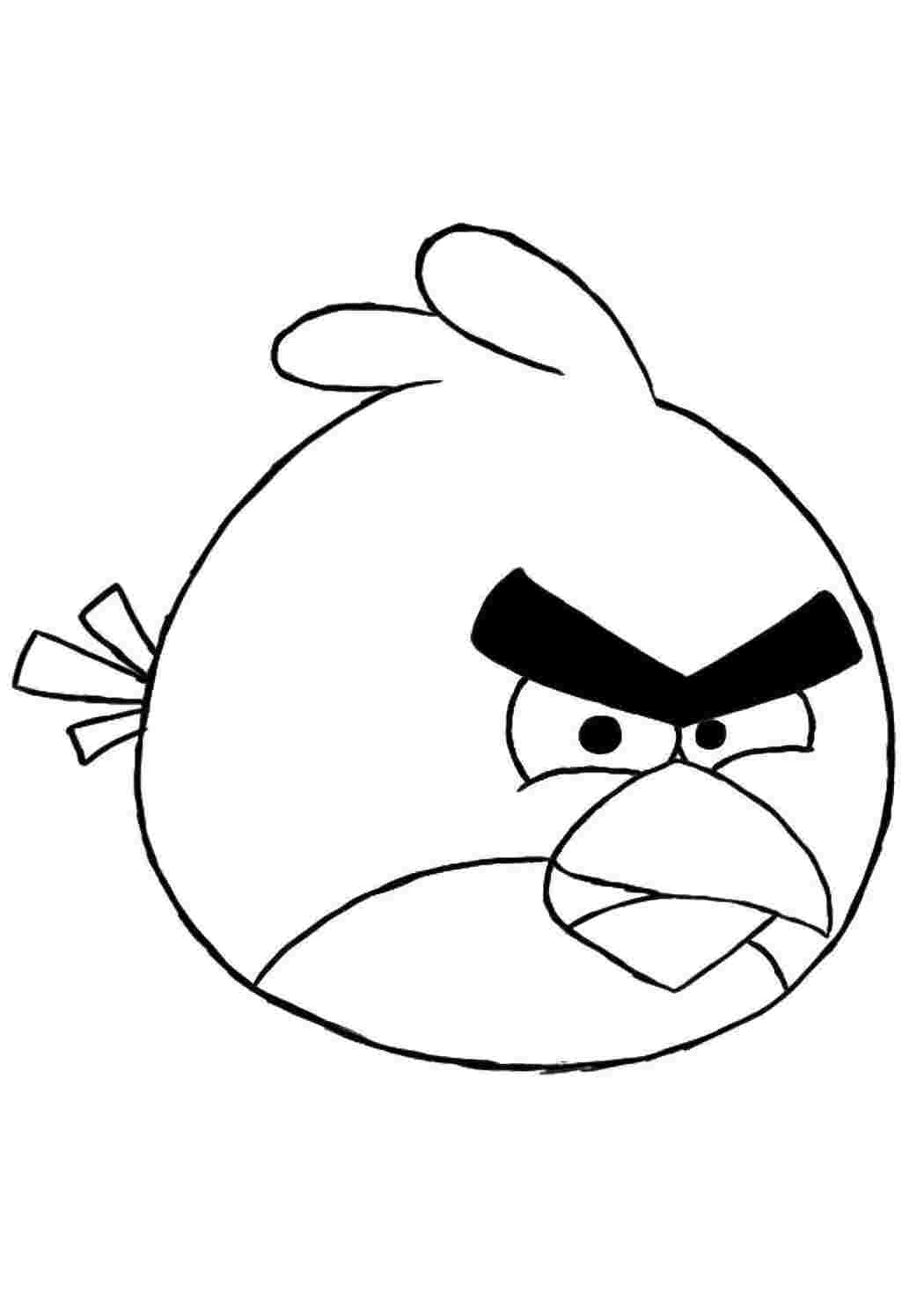 Раскраски Птичка из angry birds  angry birds Игры, Angry Birds 