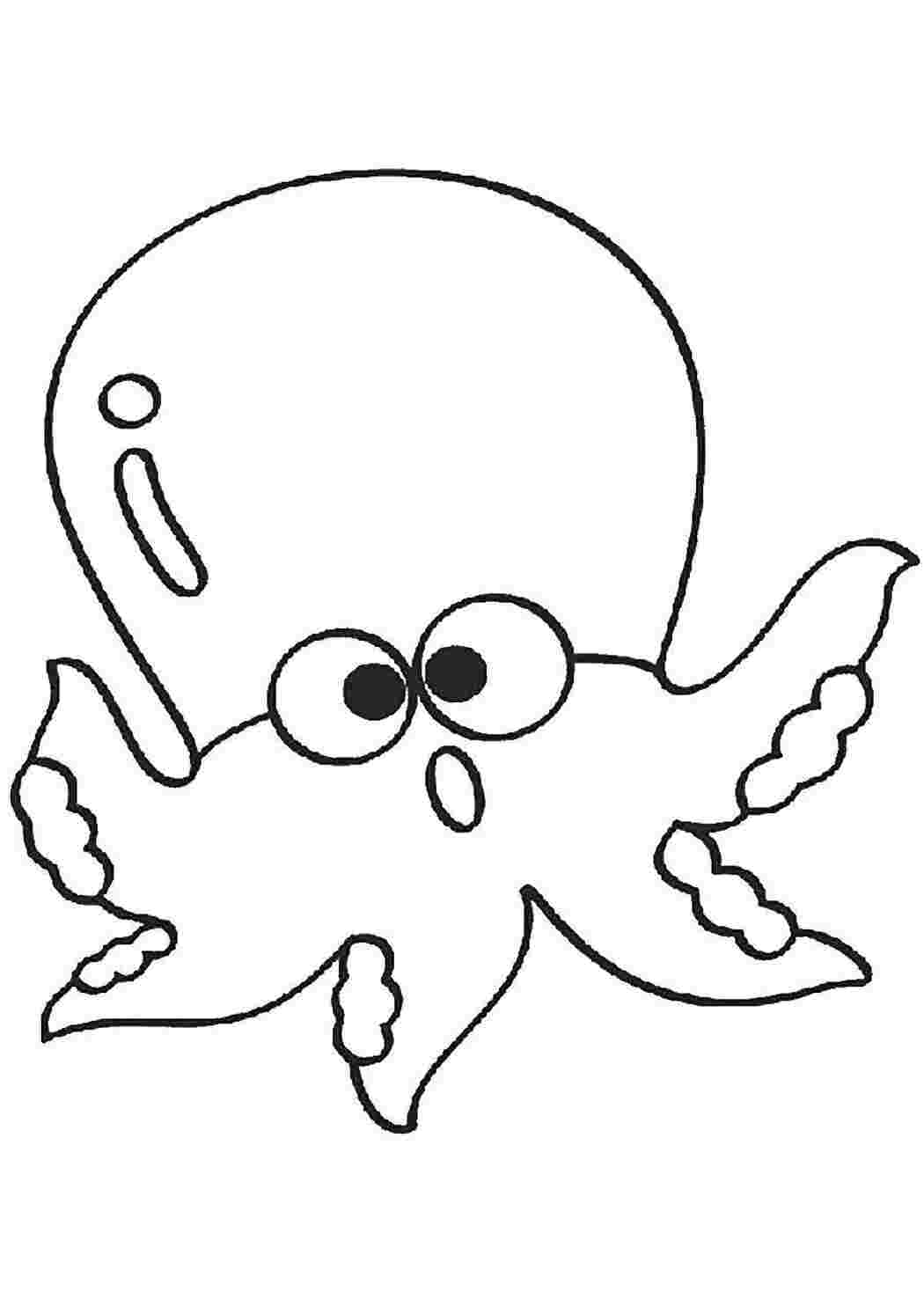 морское Подводный мир, осьминог
