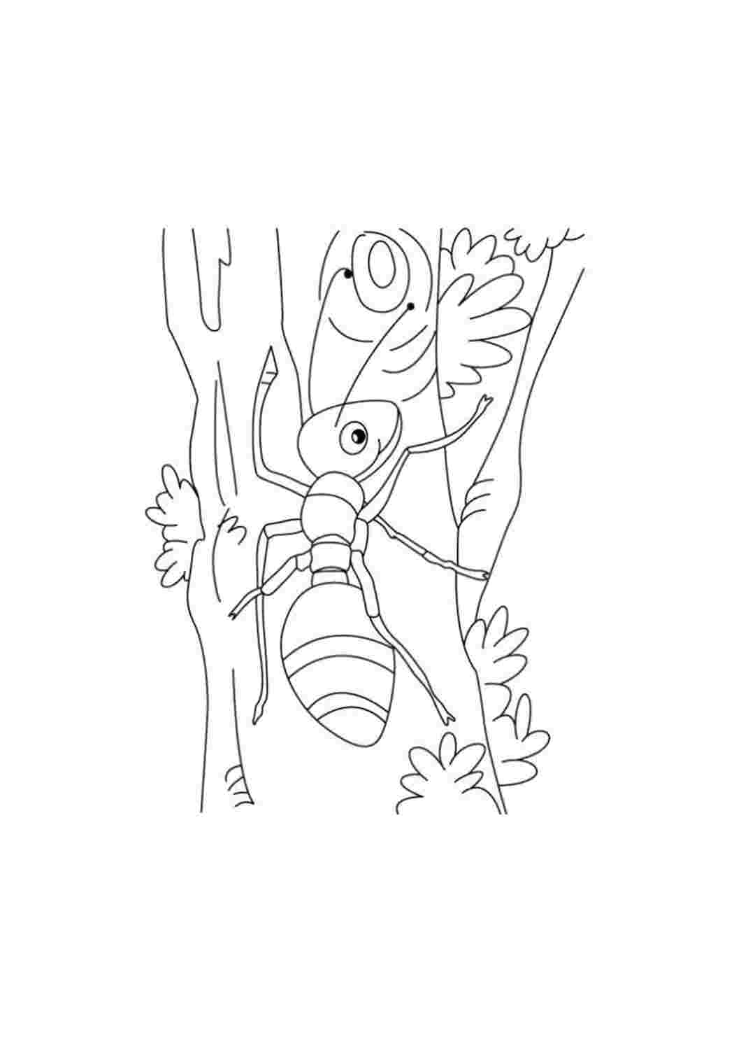 Раскраска А4 Мульти-Пульти «Познавательная: В мире насекомых», 16стр., с наклейками