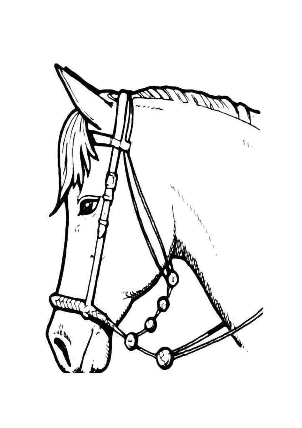 Раскраски картинки на рабочий стол онлайн Раскраски лошадь в упряжке Раскраски для мальчиков
