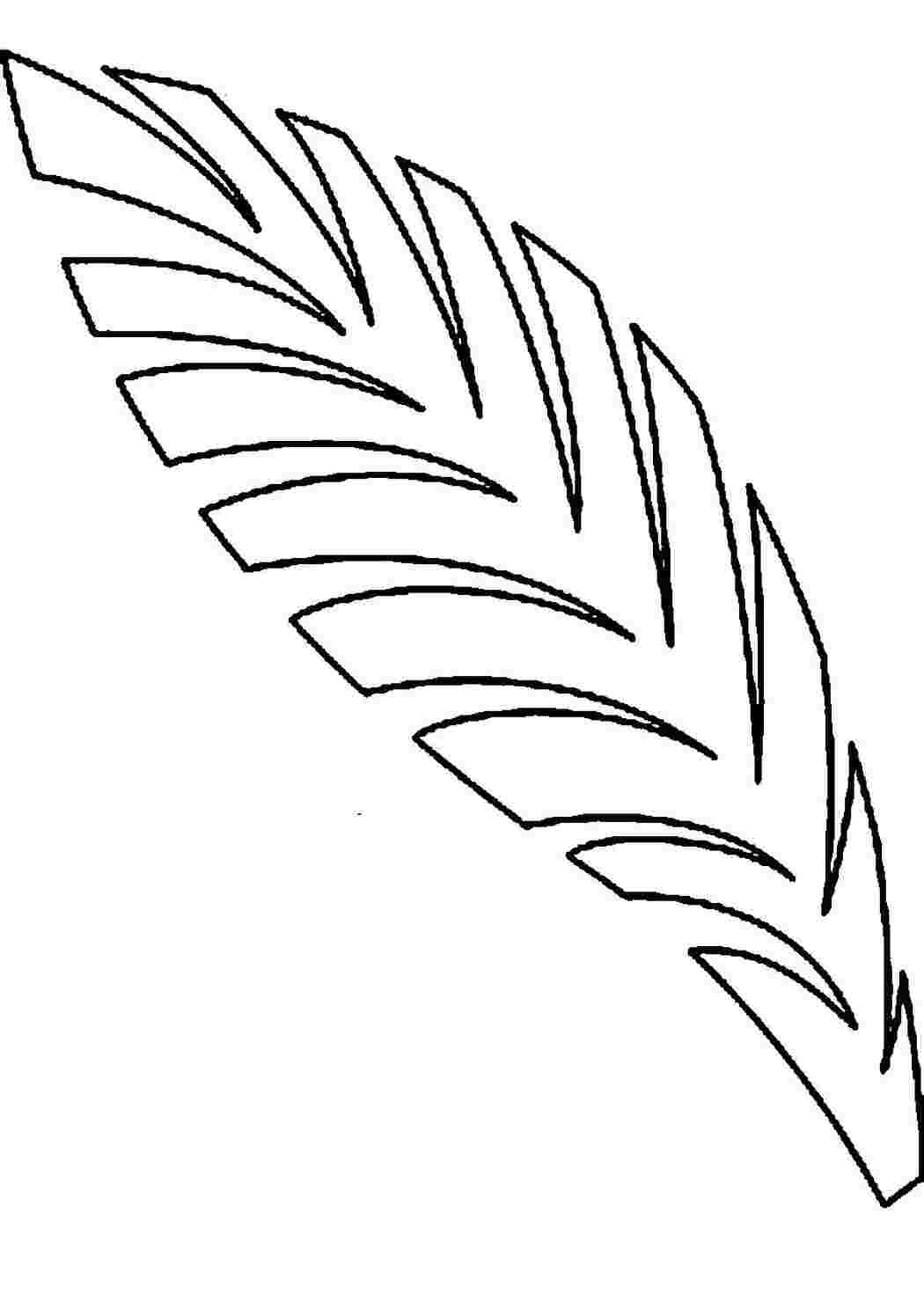 Лист пальмы копьем сухоцвет натуральный