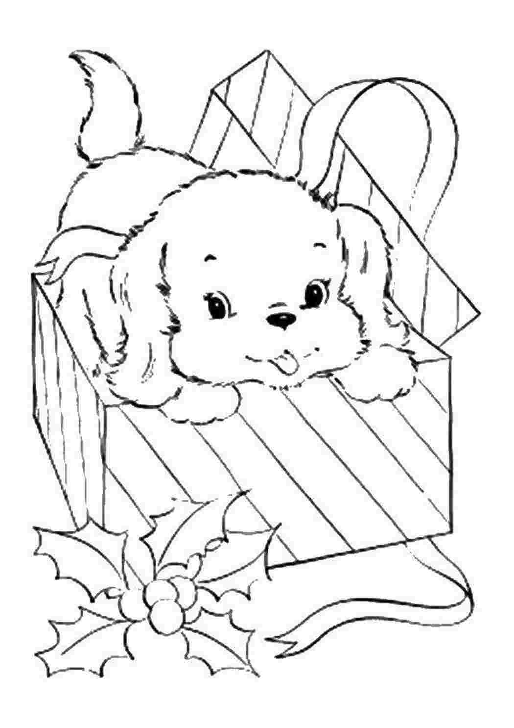 Раскраски Песик с подарочной коробке домашние животные животные, собака, щенок, пес, коробка