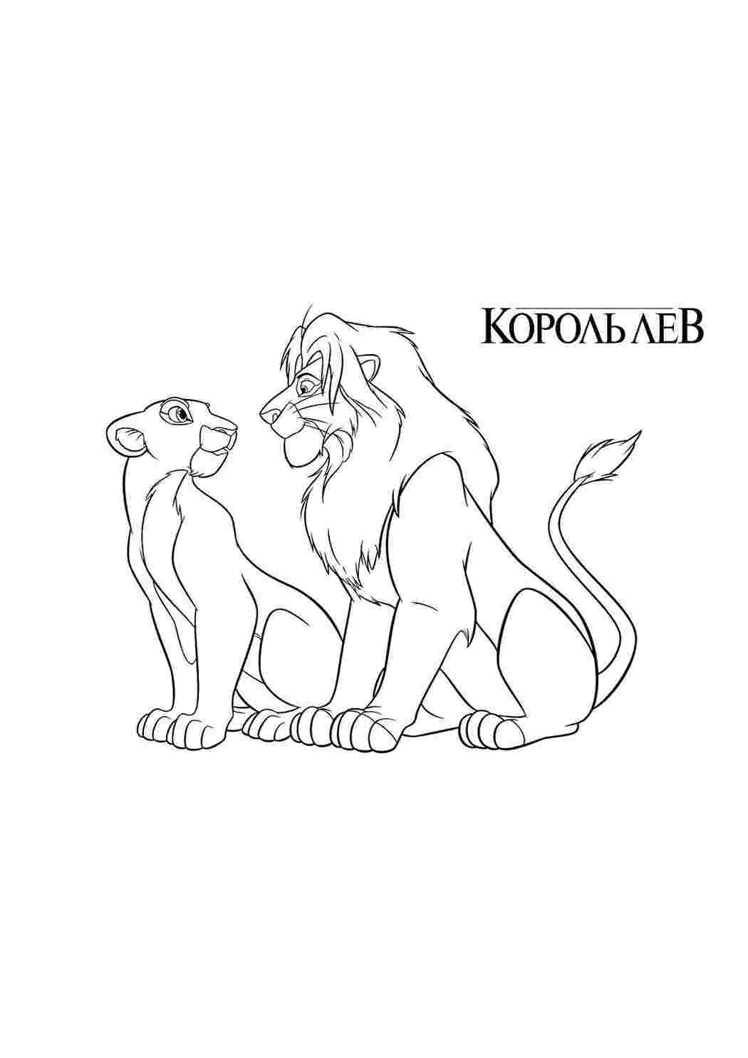 мультфильмы Король Лев, мультфильмы, львы