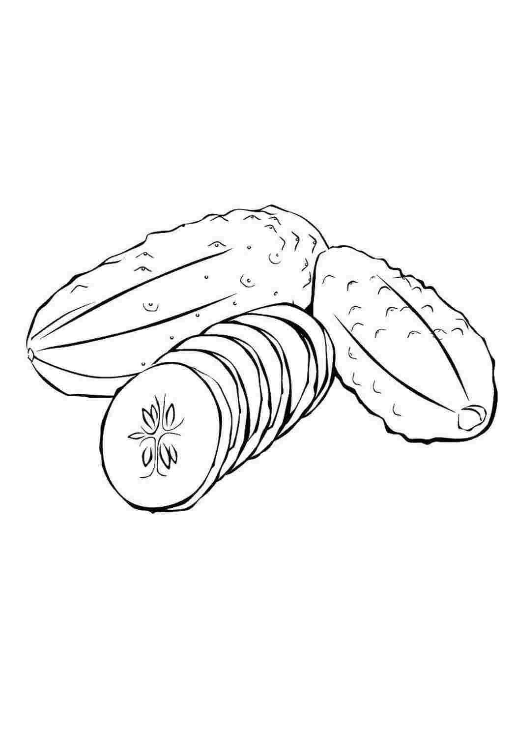 овощи овощи, огурец