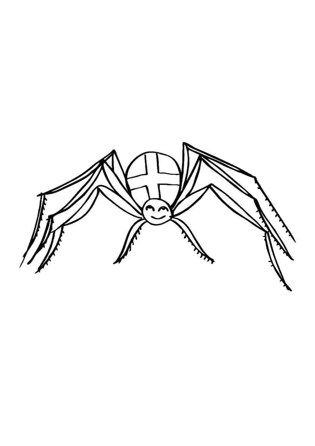 Паук Паук