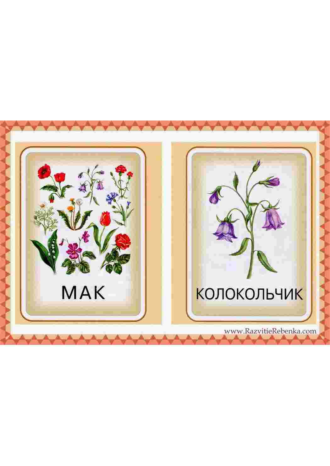 Раскраски картинка цветы розы ромашки  картинка цветы розы ромашки