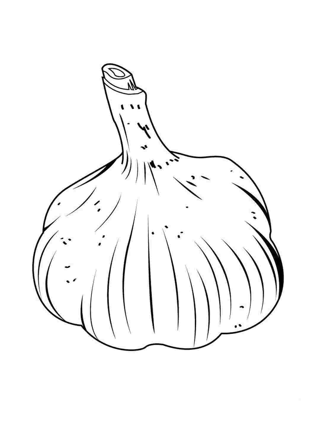 овощи чеснок