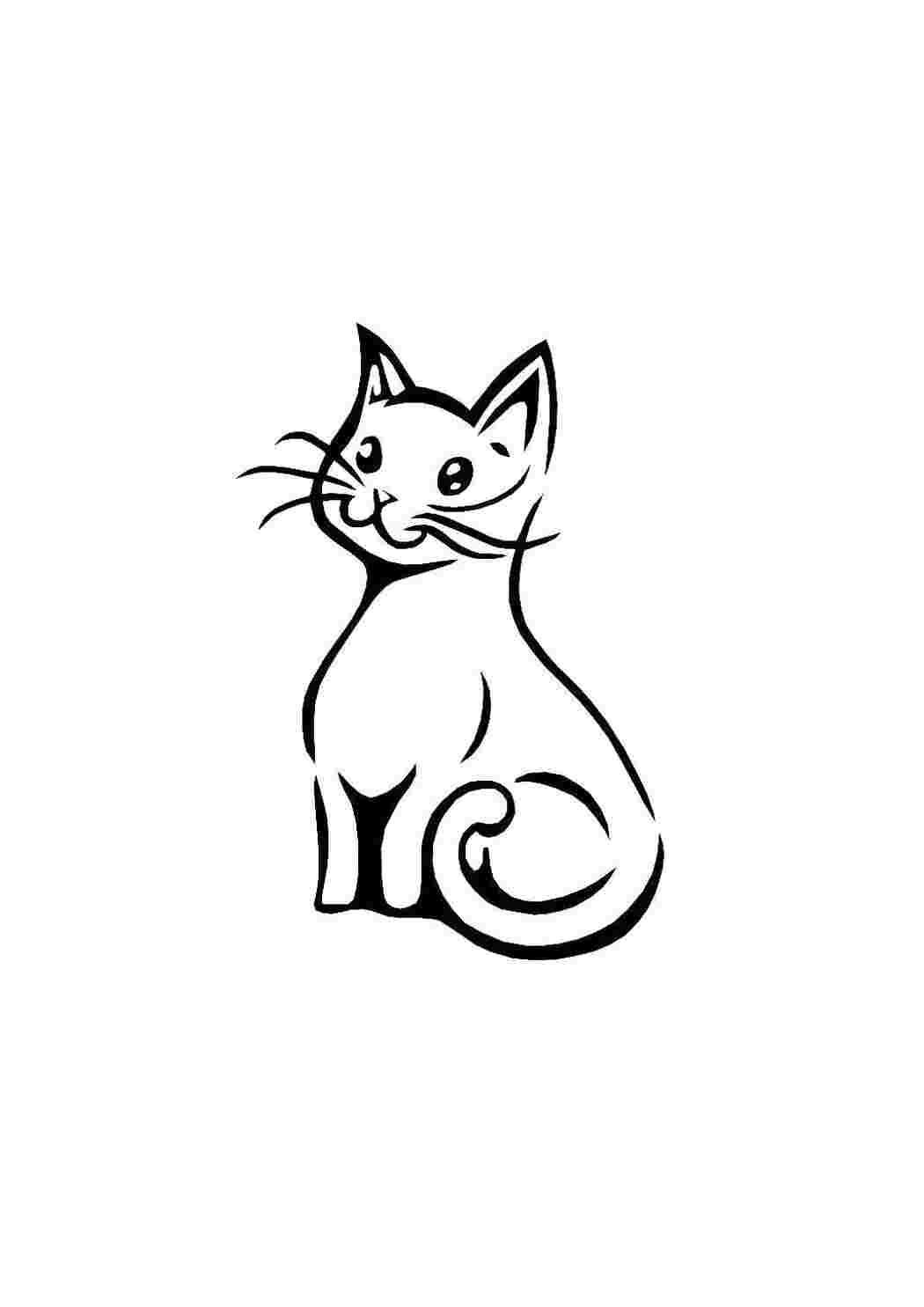Контур кота