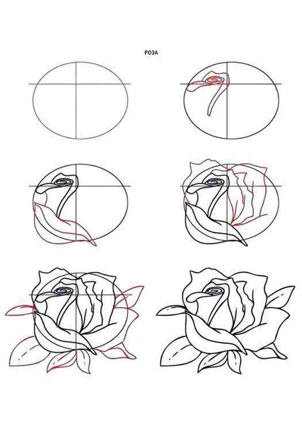 Уроки рисования для начинающих поэтапно. Поэтапное рисование розы карандашом. Поэтапное рисование розы карандашом для начинающих.