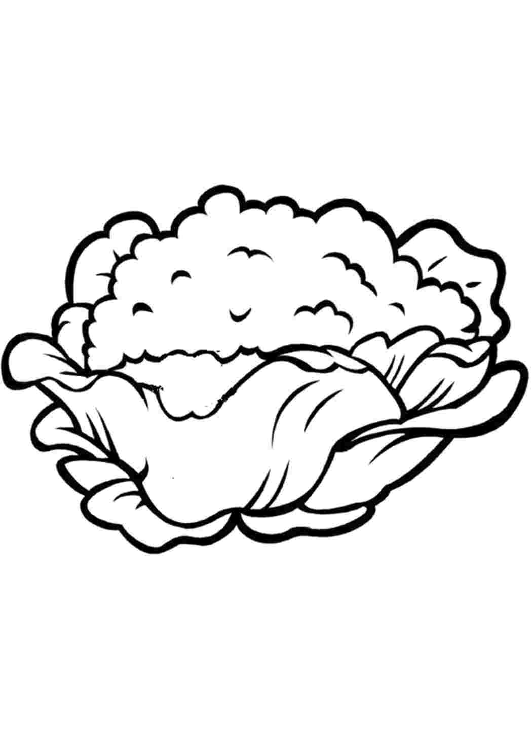Раскраска Цветная капуста