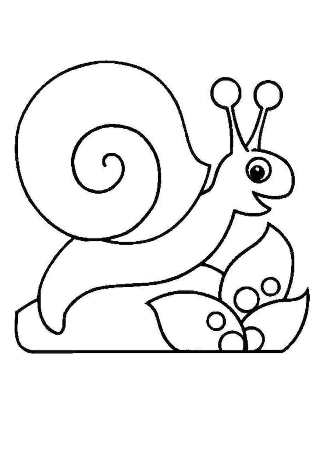 Раскраска Милая улитка