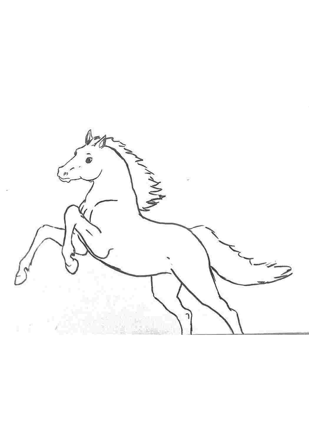 Шаблон коня для рисования