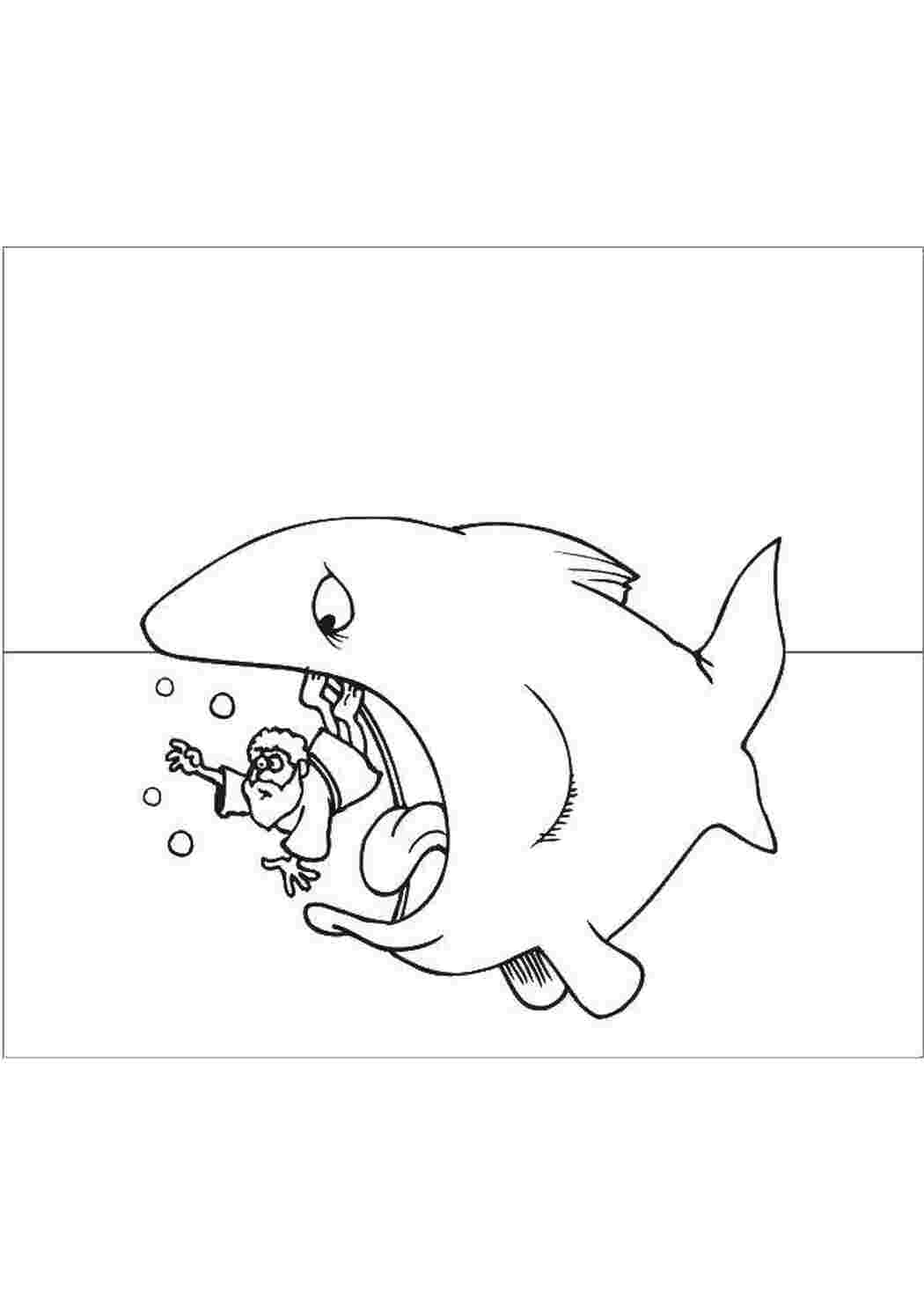акула раскраска. акула раскраска для детей. ак раскраска. акула раскраска. акула раскраска.