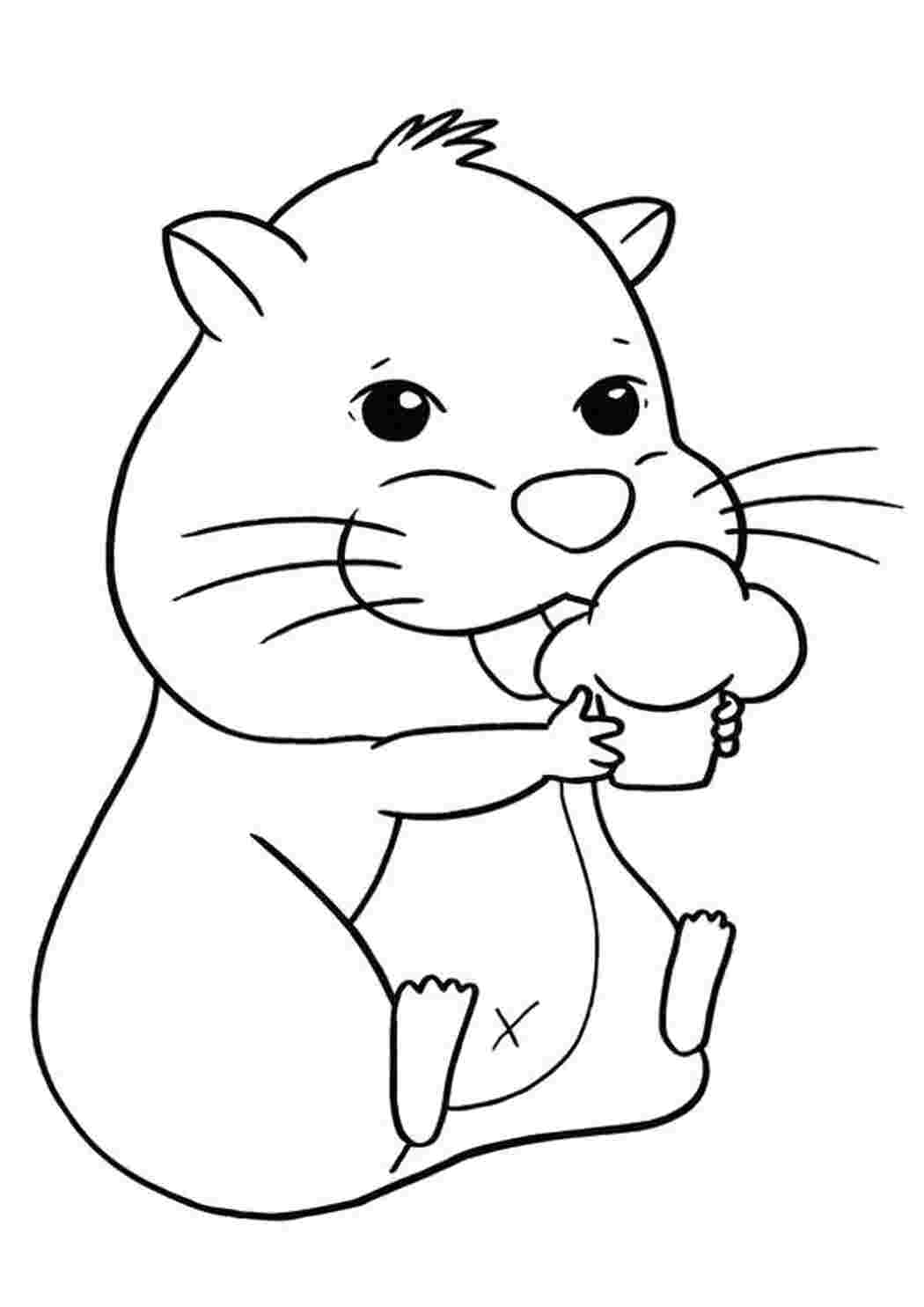 Раскраска Хомячок