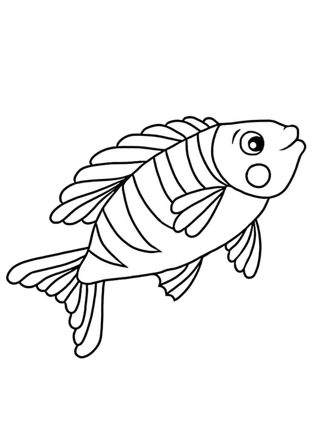 Рыбка раскраска для детей