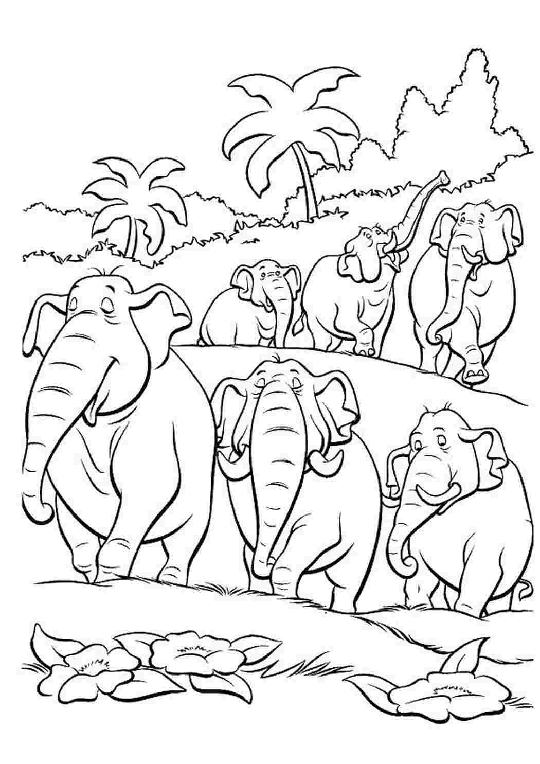 Раскраска Стадо слонов