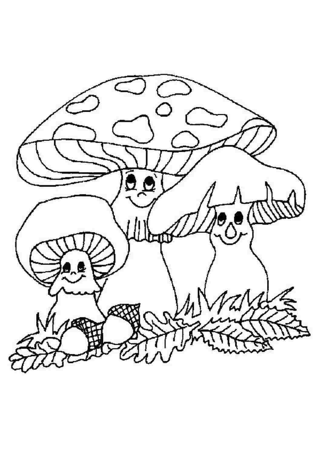Осенние грибы раскраска для детей