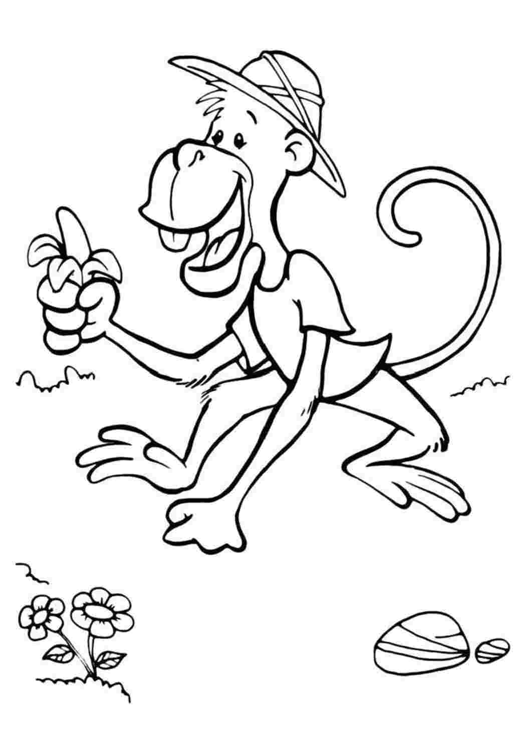 Раскраска Любознательная обезьянка