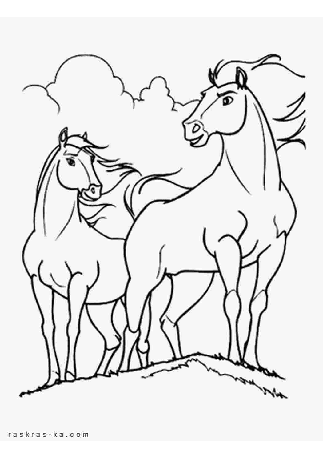 Раскраска Лошади для детей
