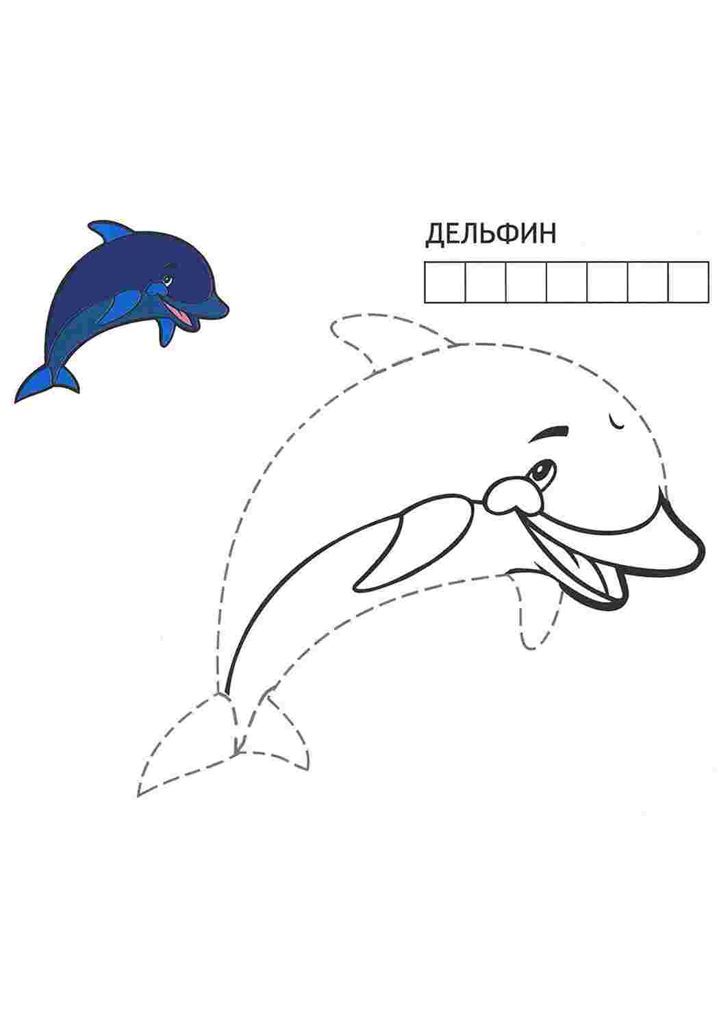 Раскраска по точкам Дельфин