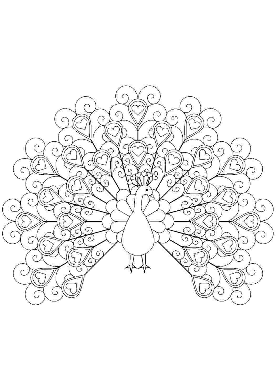 Раскраска Шикарный павлин 