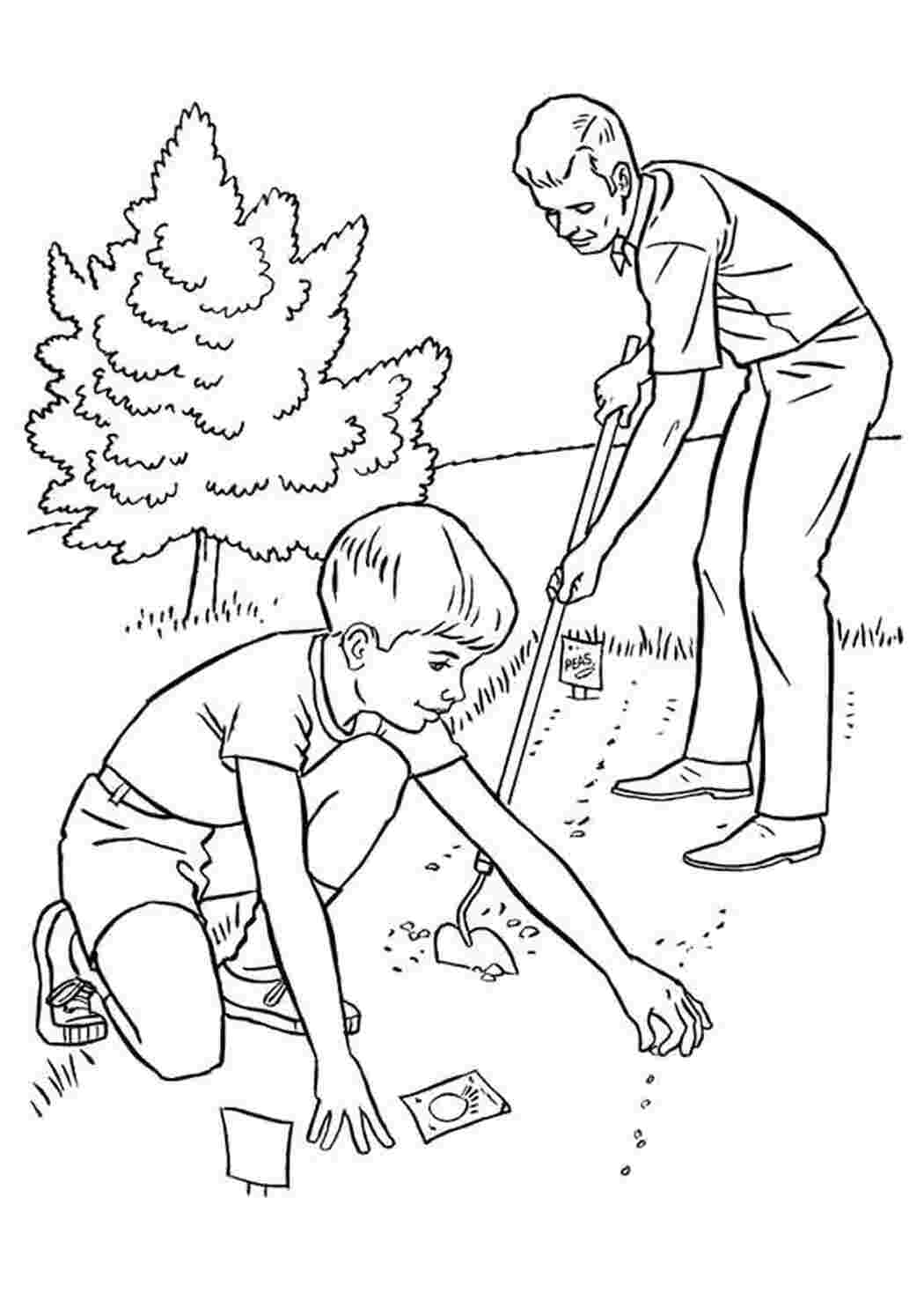 Раскраска Посадка деревьев