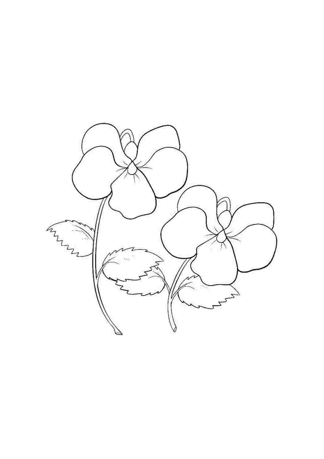 Рисунки для срисовки цветы легкие