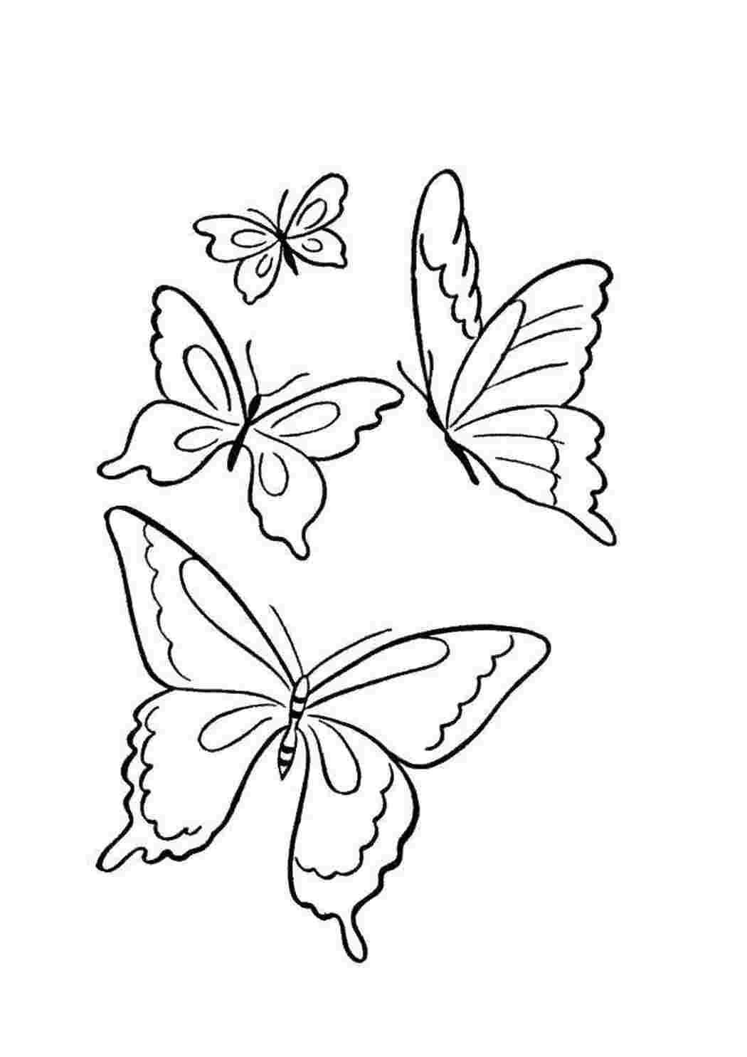 Раскраска Множество бабочек