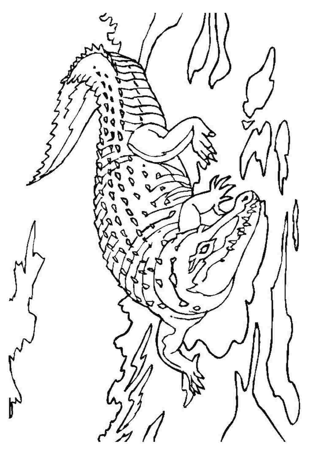 Гребнистый крокодил раскраска