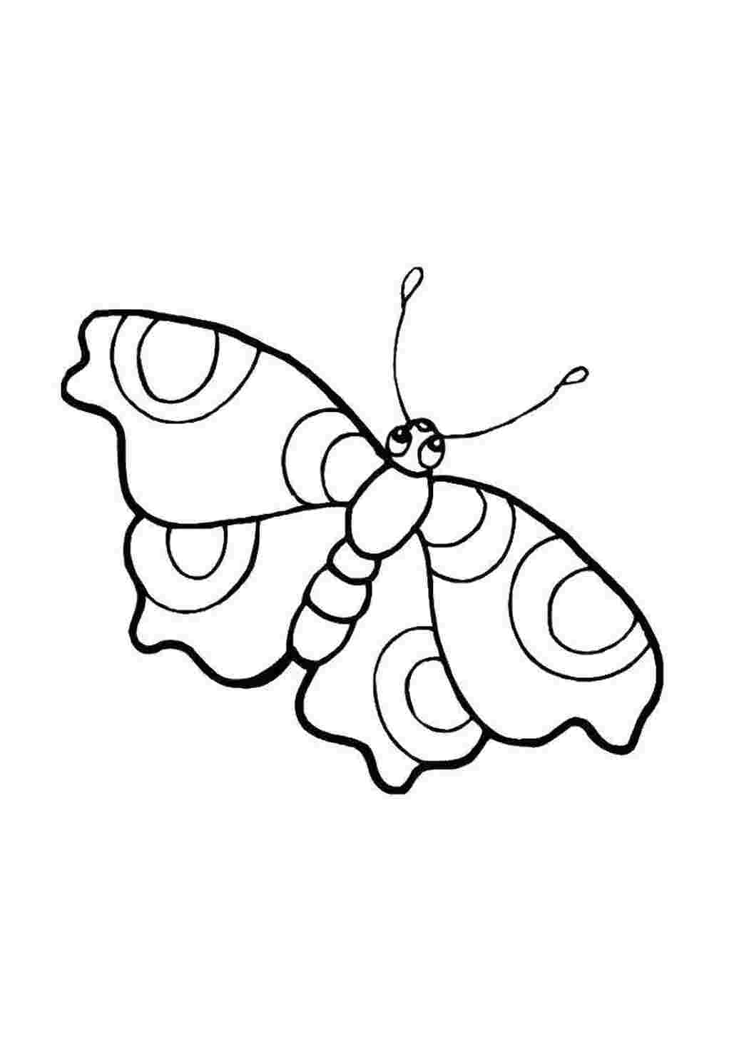 Раскраска Бабочка