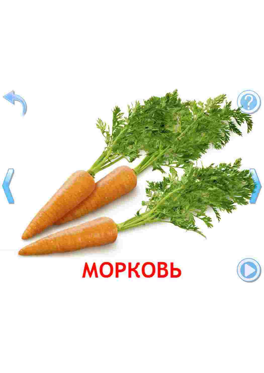 Морковь на английском. Как на английском морковка. Карточки овощи помидоры огурцы картошка лук. Овощи картофель лук морковь. Как по английски морковь