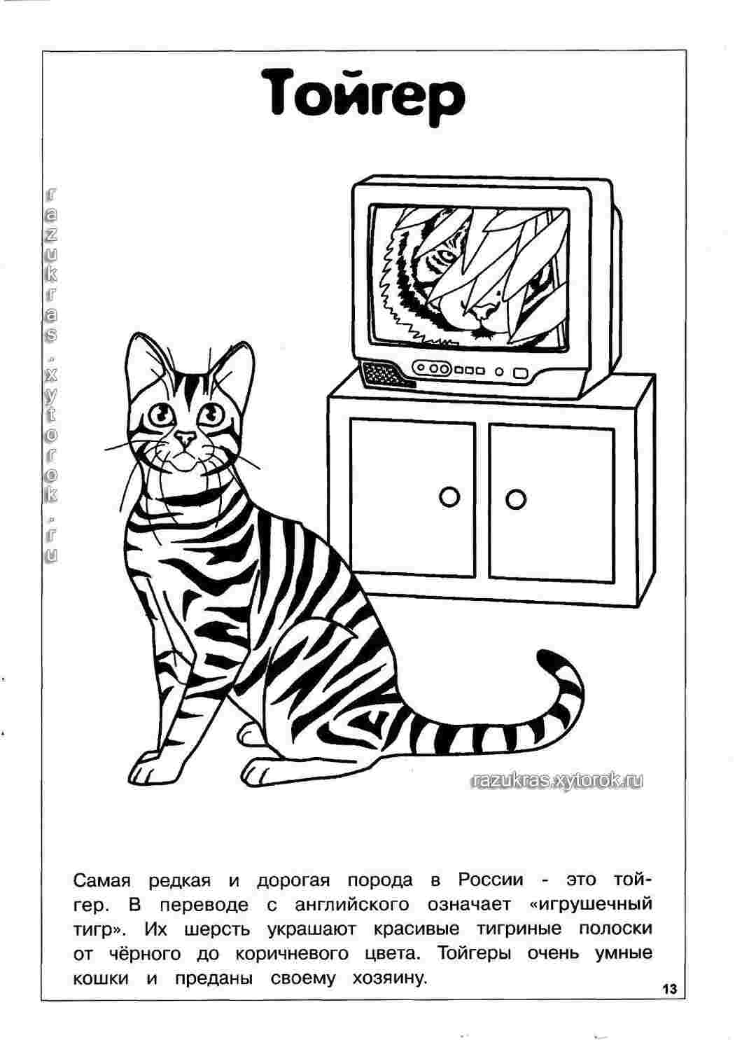 Раскраска Тойгер