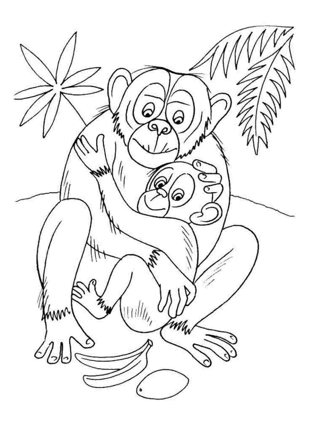 Раскраска Обезьяны